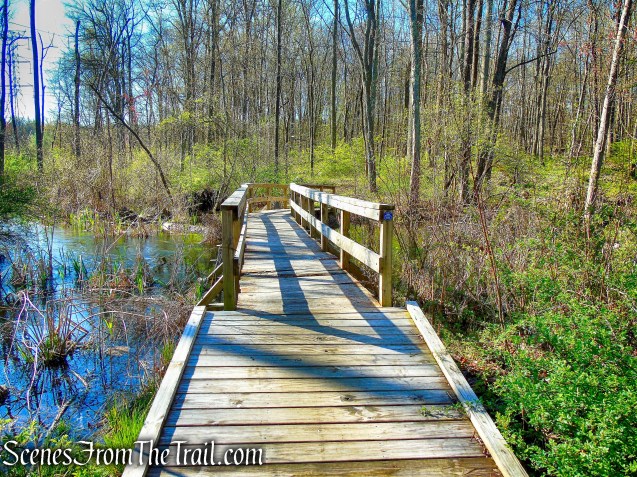 Crom Pond Trail - FDR State Park