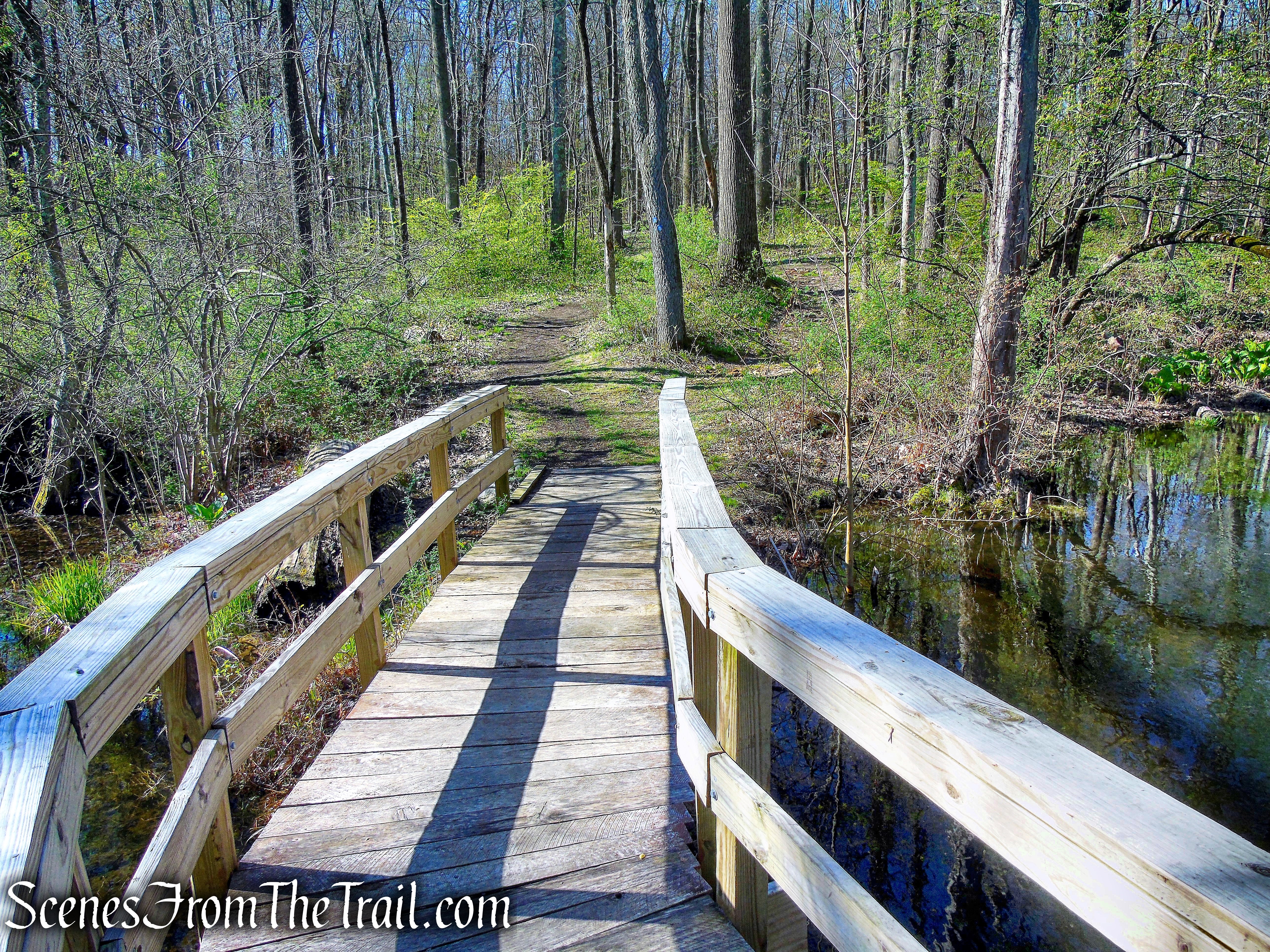 Crom Pond Trail - FDR State Park