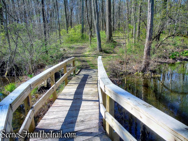 Crom Pond Trail - FDR State Park