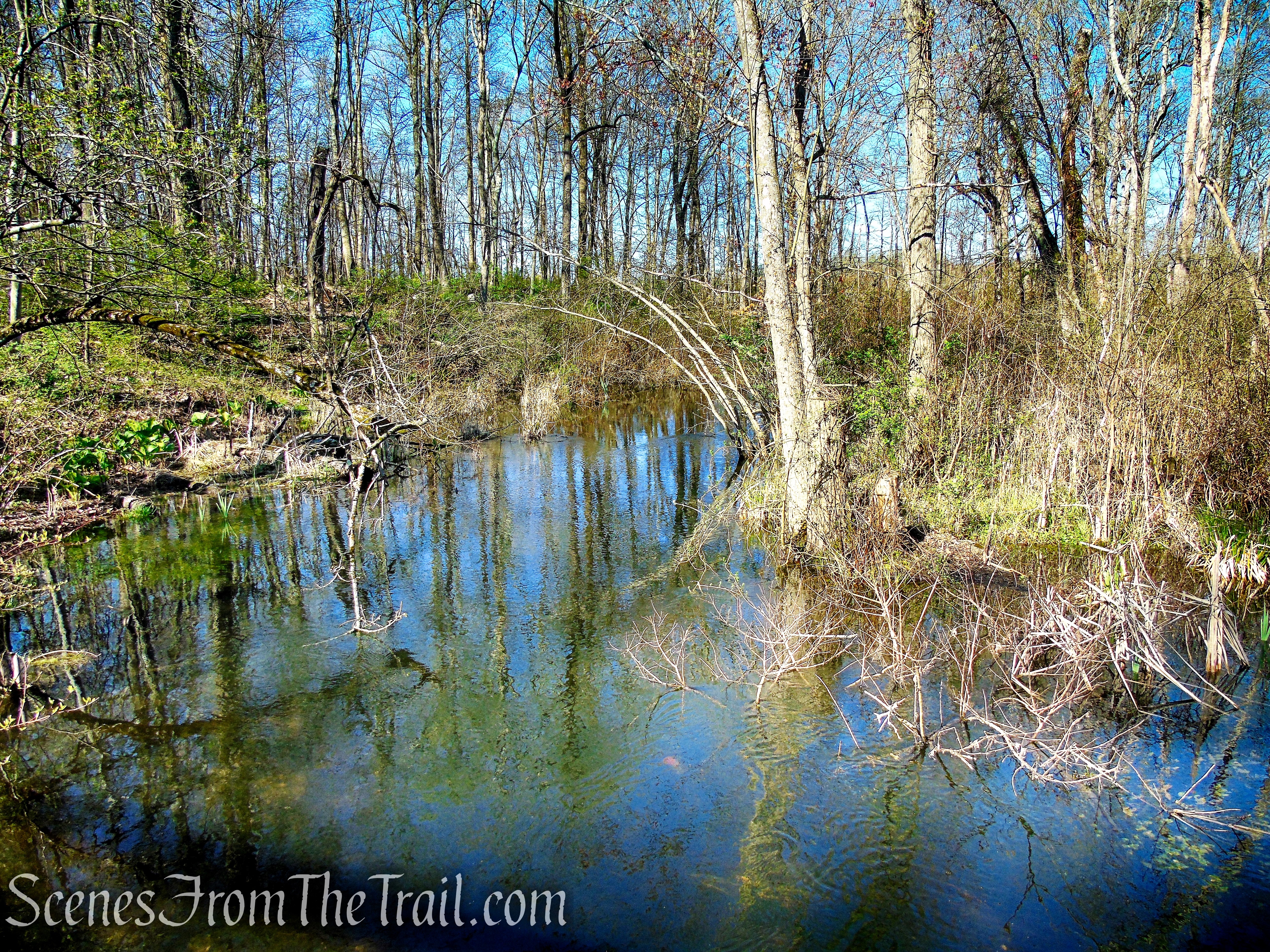 Crom Pond Trail - FDR State Park