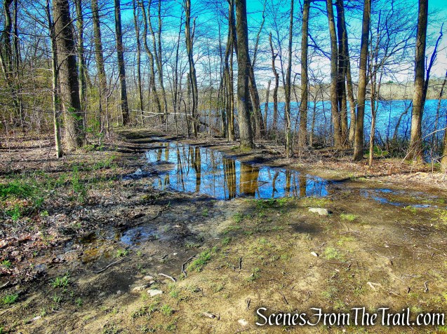 Crom Pond Trail - FDR State Park