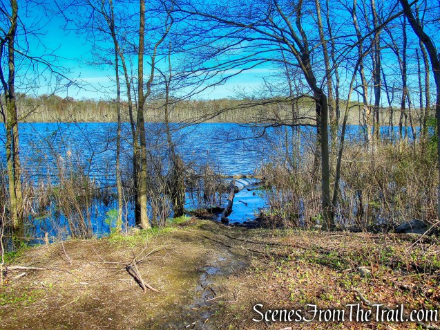 Crom Pond Trail - FDR State Park