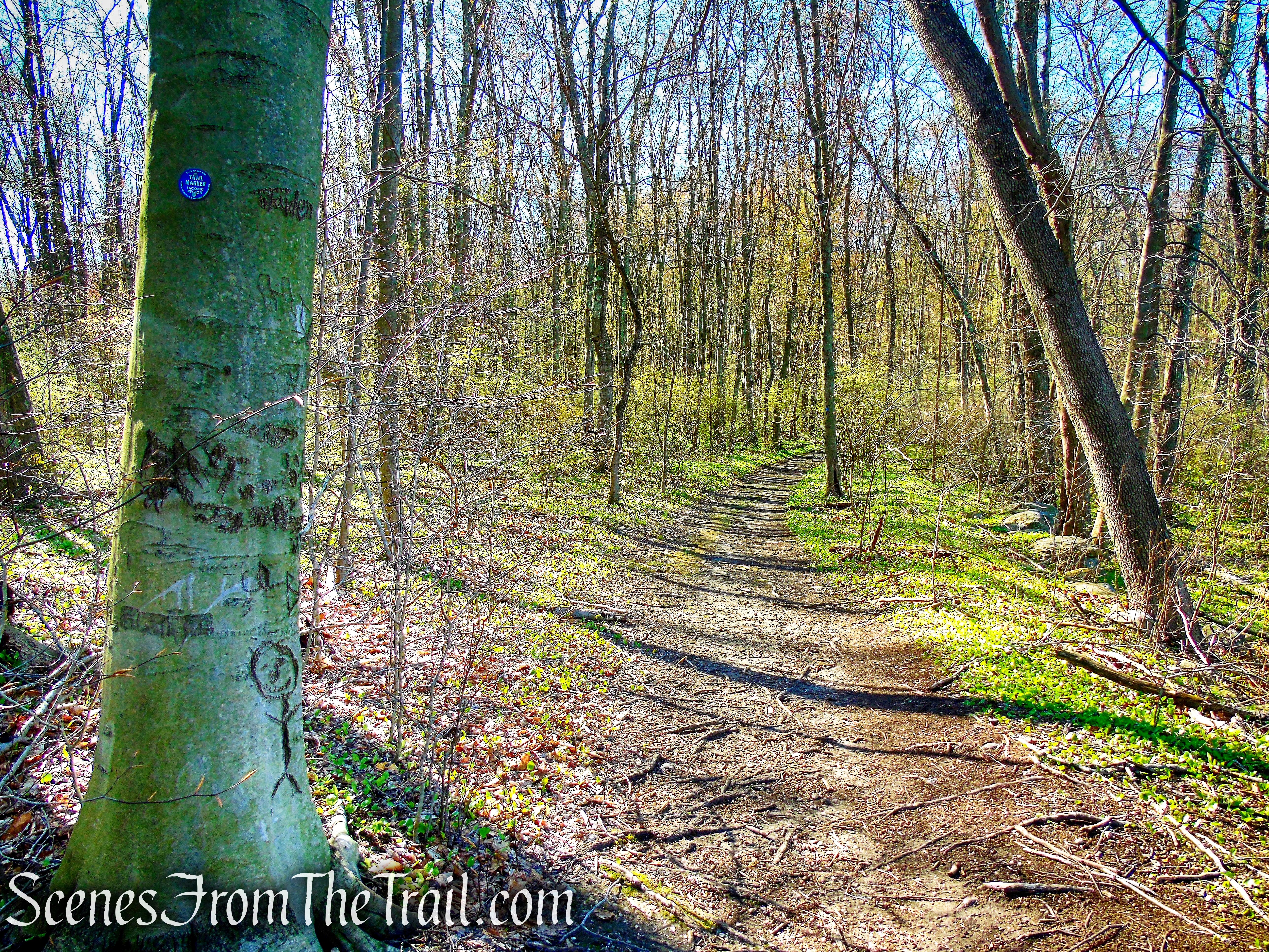Crom Pond Trail - FDR State Park