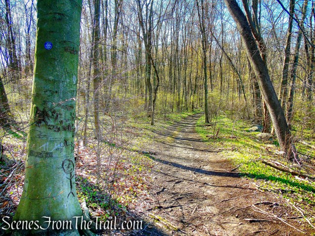 Crom Pond Trail - FDR State Park