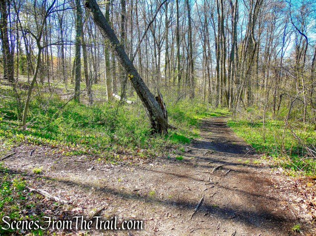 Crom Pond Trail turns left