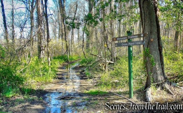 Yellow Connector Trail - FDR State Park