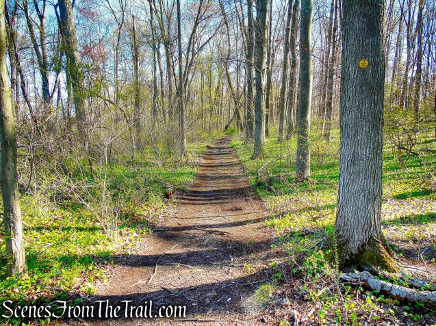 Yellow Connector Trail - FDR State Park