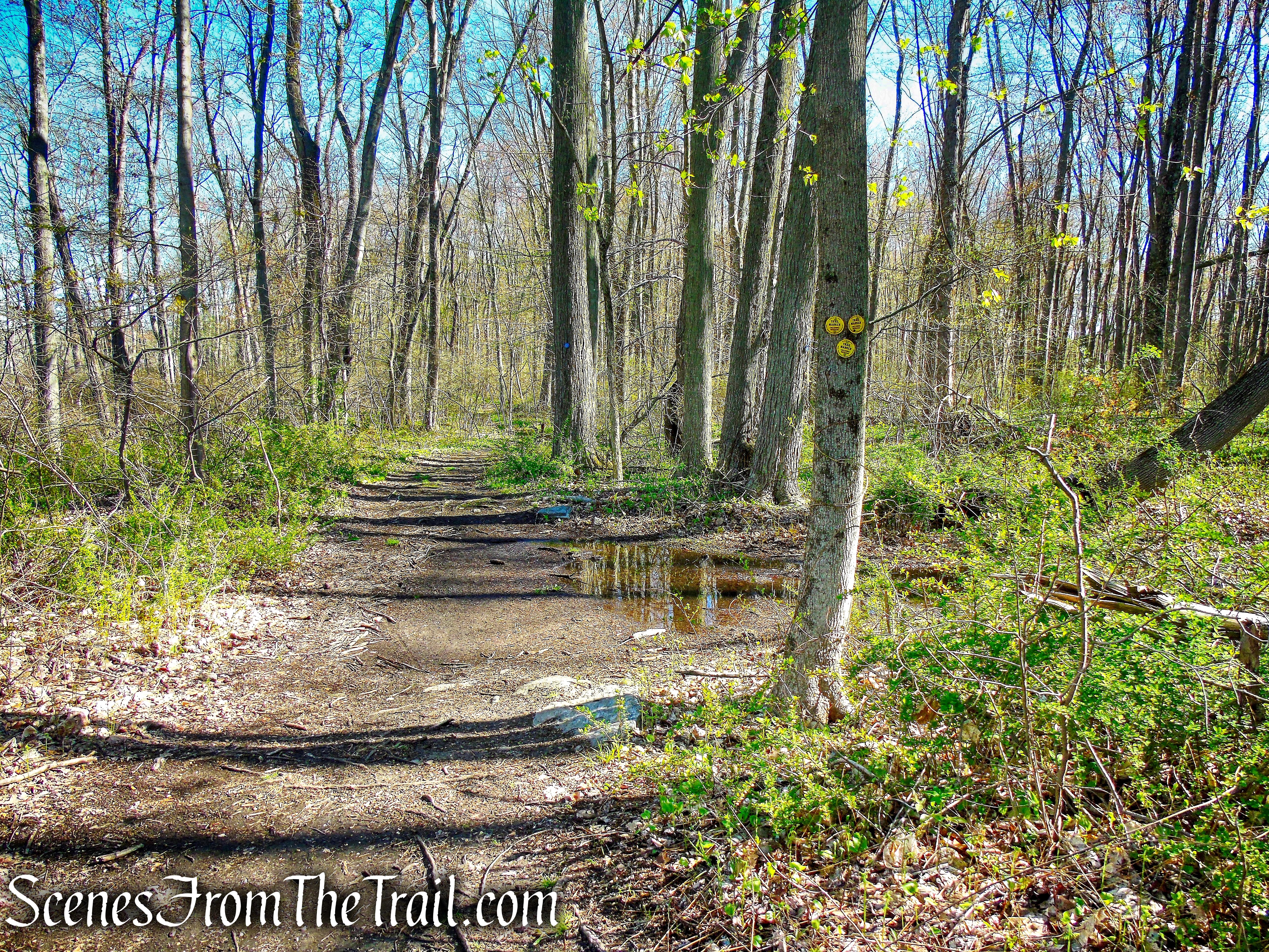 terminus of Yellow Connector Trail