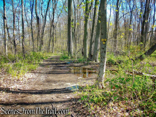 terminus of Yellow Connector Trail