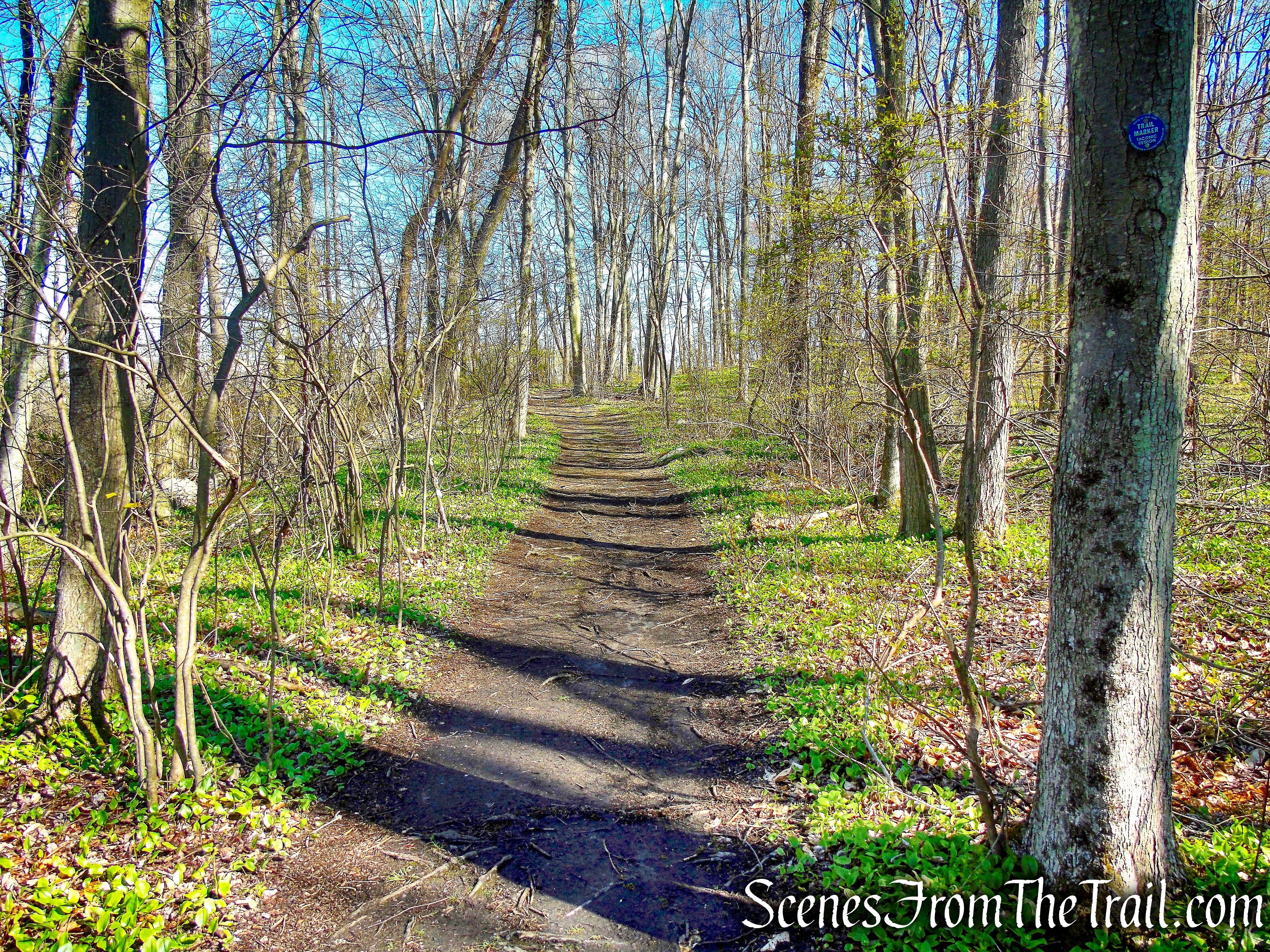 Crom Pond Trail - FDR State Park