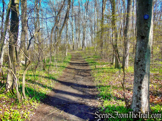 Crom Pond Trail - FDR State Park
