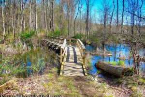 Crom Pond Trail - FDR State Park
