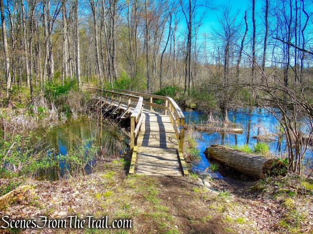 Crom Pond Trail - FDR State Park
