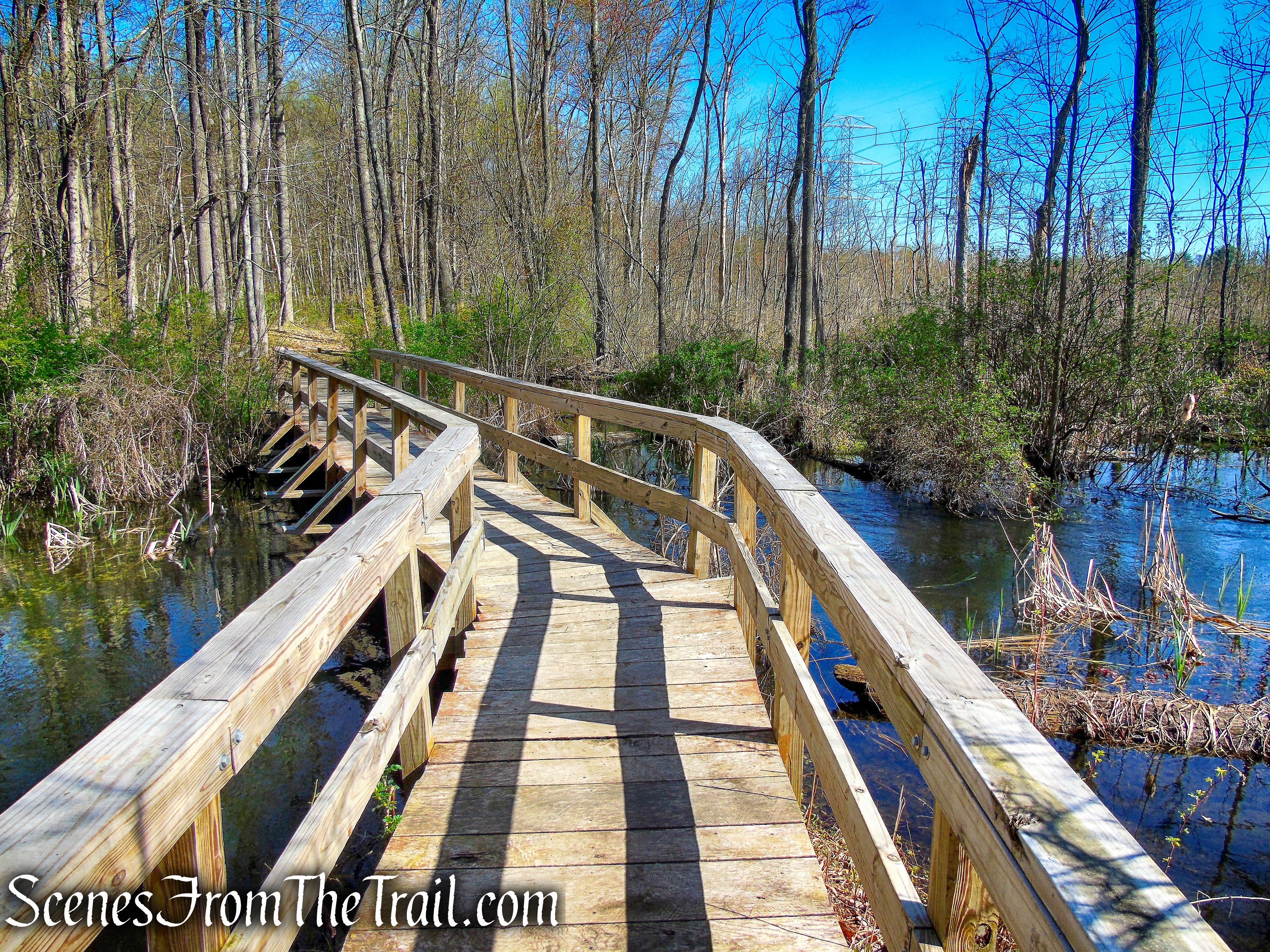Crom Pond Trail - FDR State Park