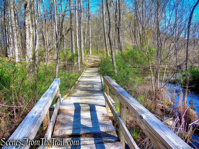 Crom Pond Trail - FDR State Park