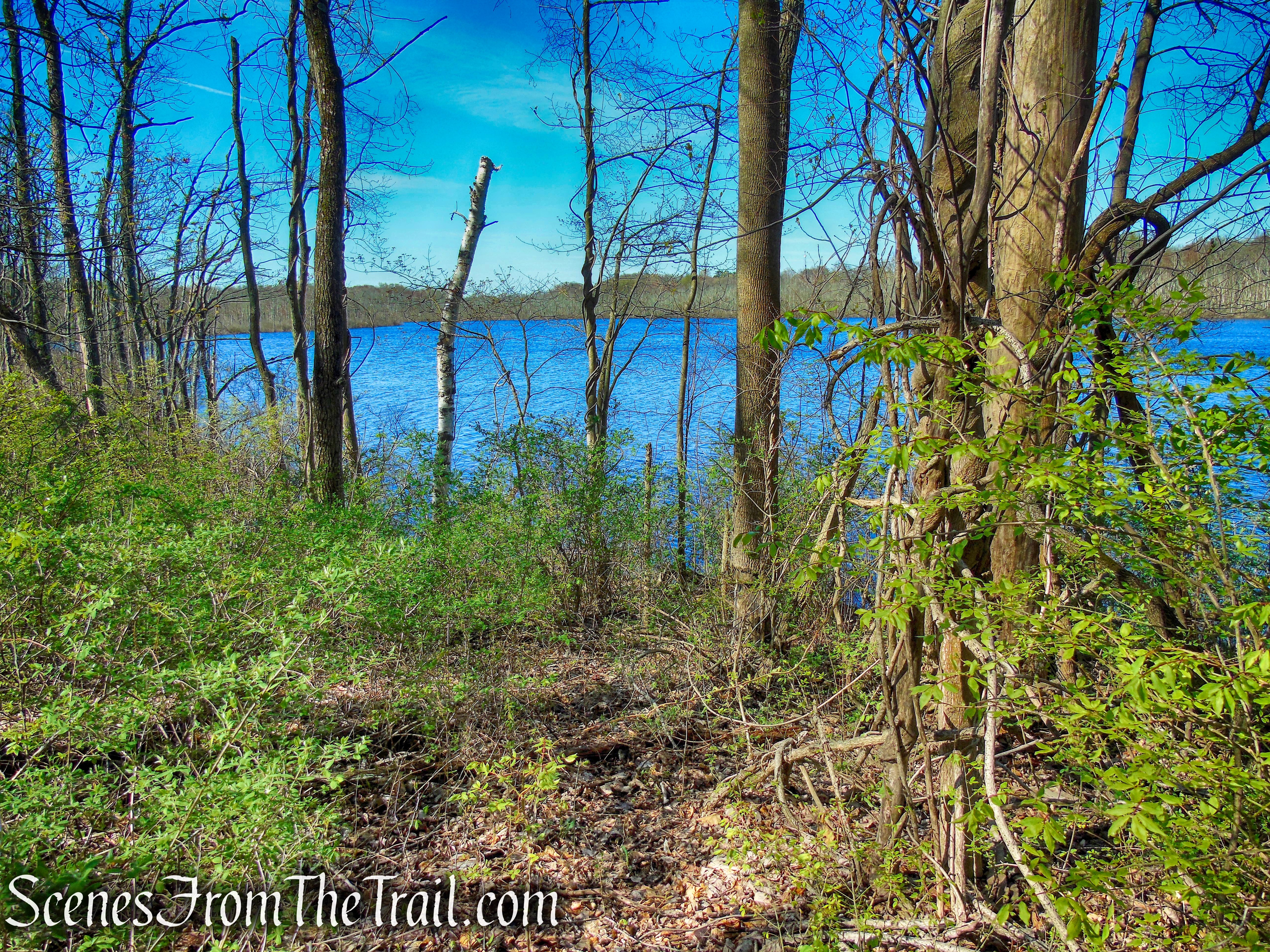 Crom Pond Trail - FDR State Park
