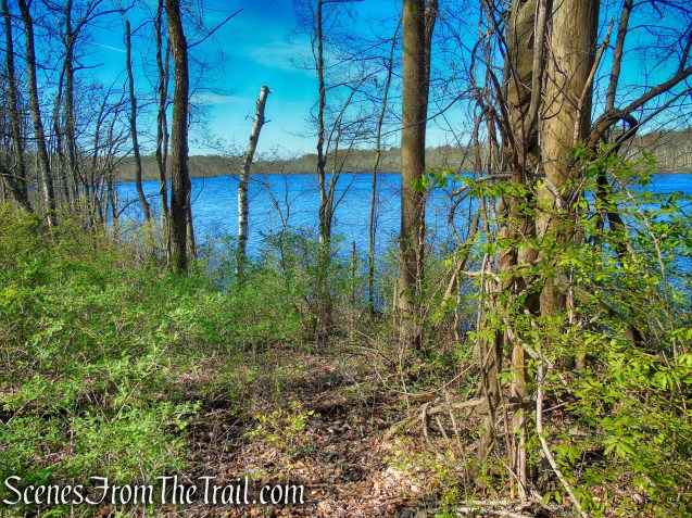 Crom Pond Trail - FDR State Park