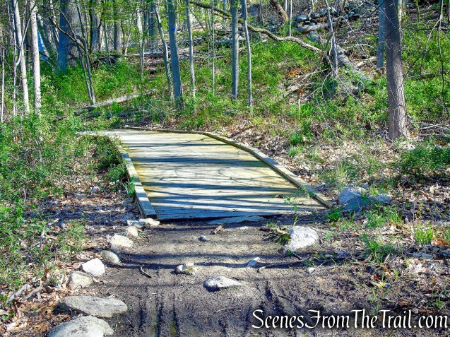 Crom Pond Trail - FDR State Park