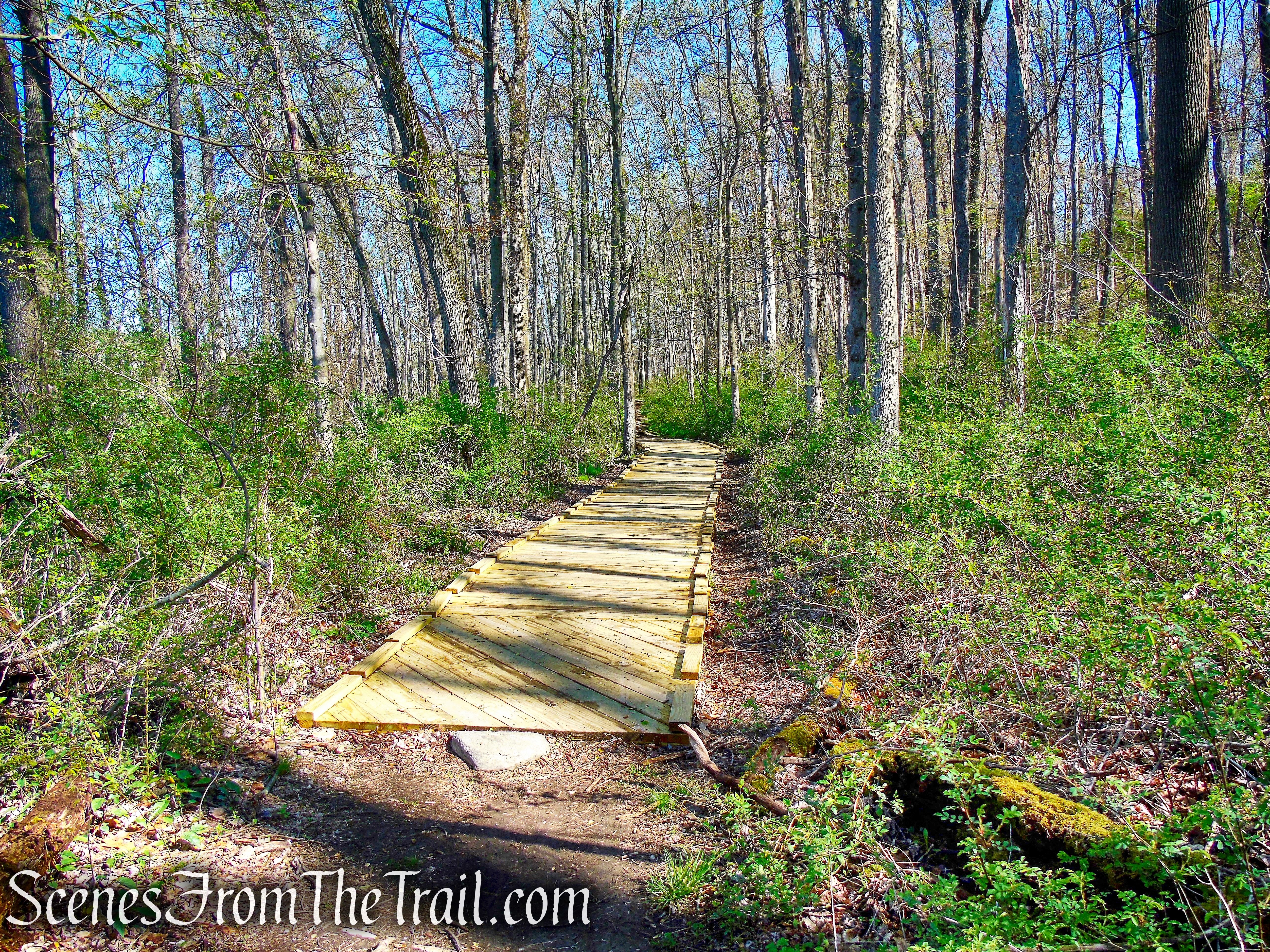 Crom Pond Trail - FDR State Park