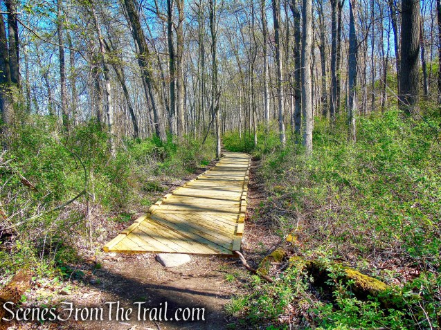 Crom Pond Trail - FDR State Park