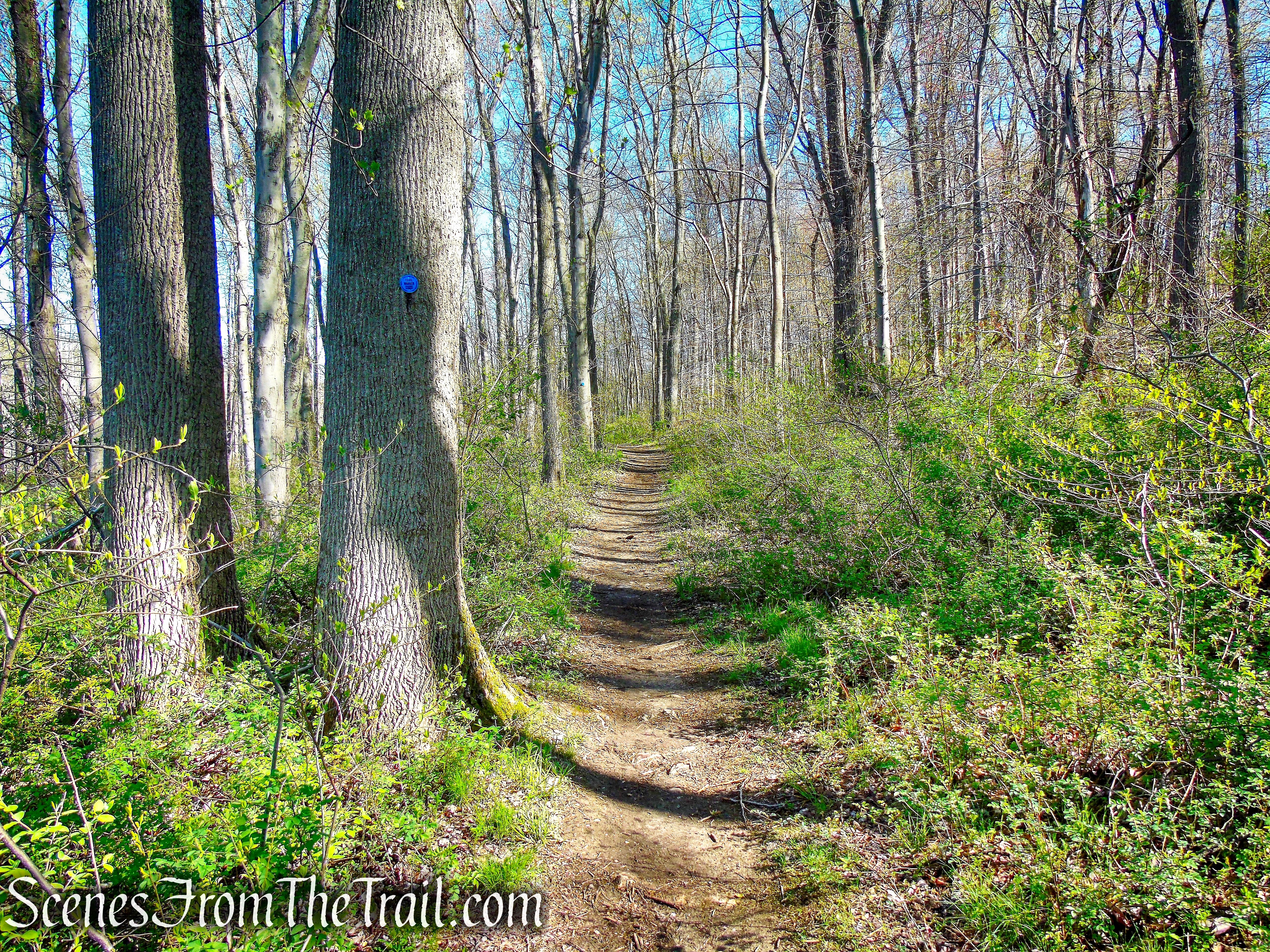Crom Pond Trail - FDR State Park