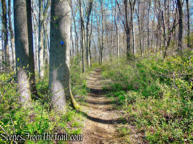 Crom Pond Trail - FDR State Park