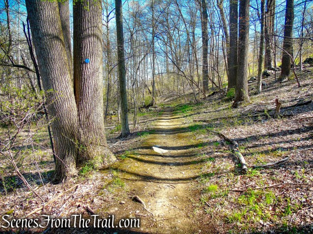 Crom Pond Trail - FDR State Park