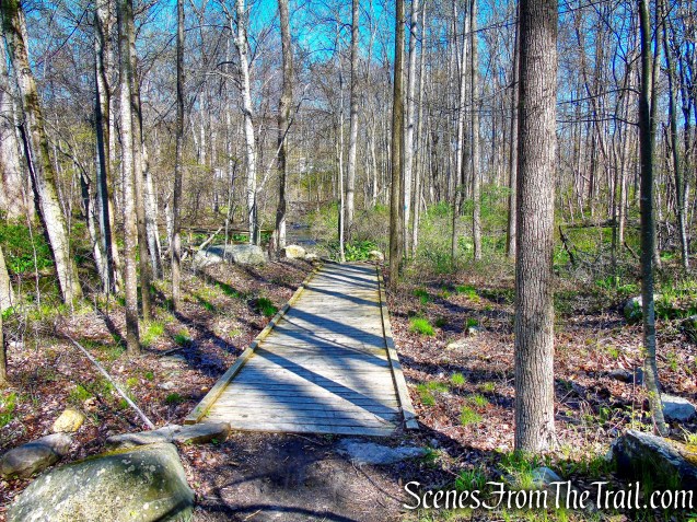 Crom Pond Trail - FDR State Park