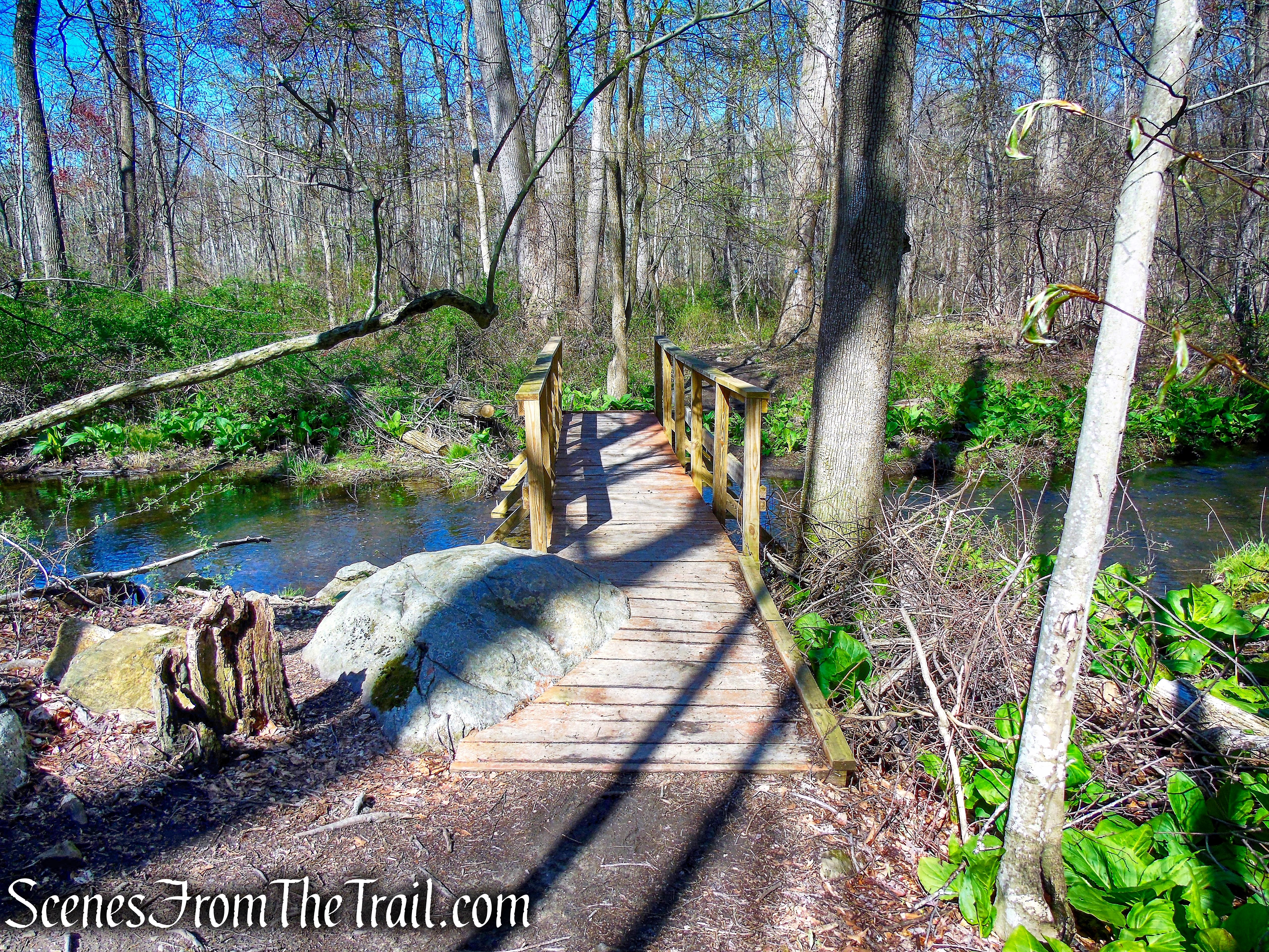 Crom Pond Trail - FDR State Park