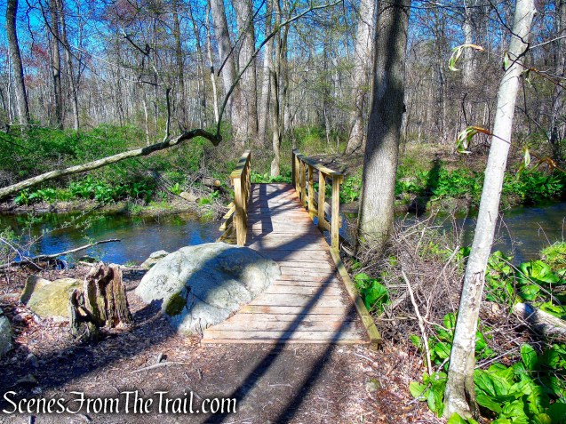 Crom Pond Trail - FDR State Park