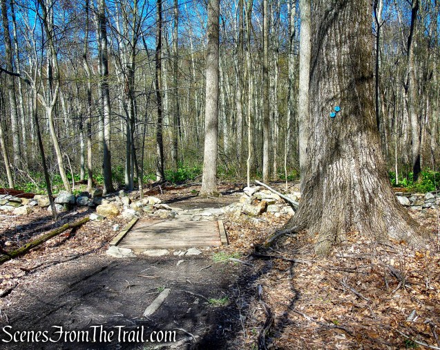 Crom Pond Trail - FDR State Park