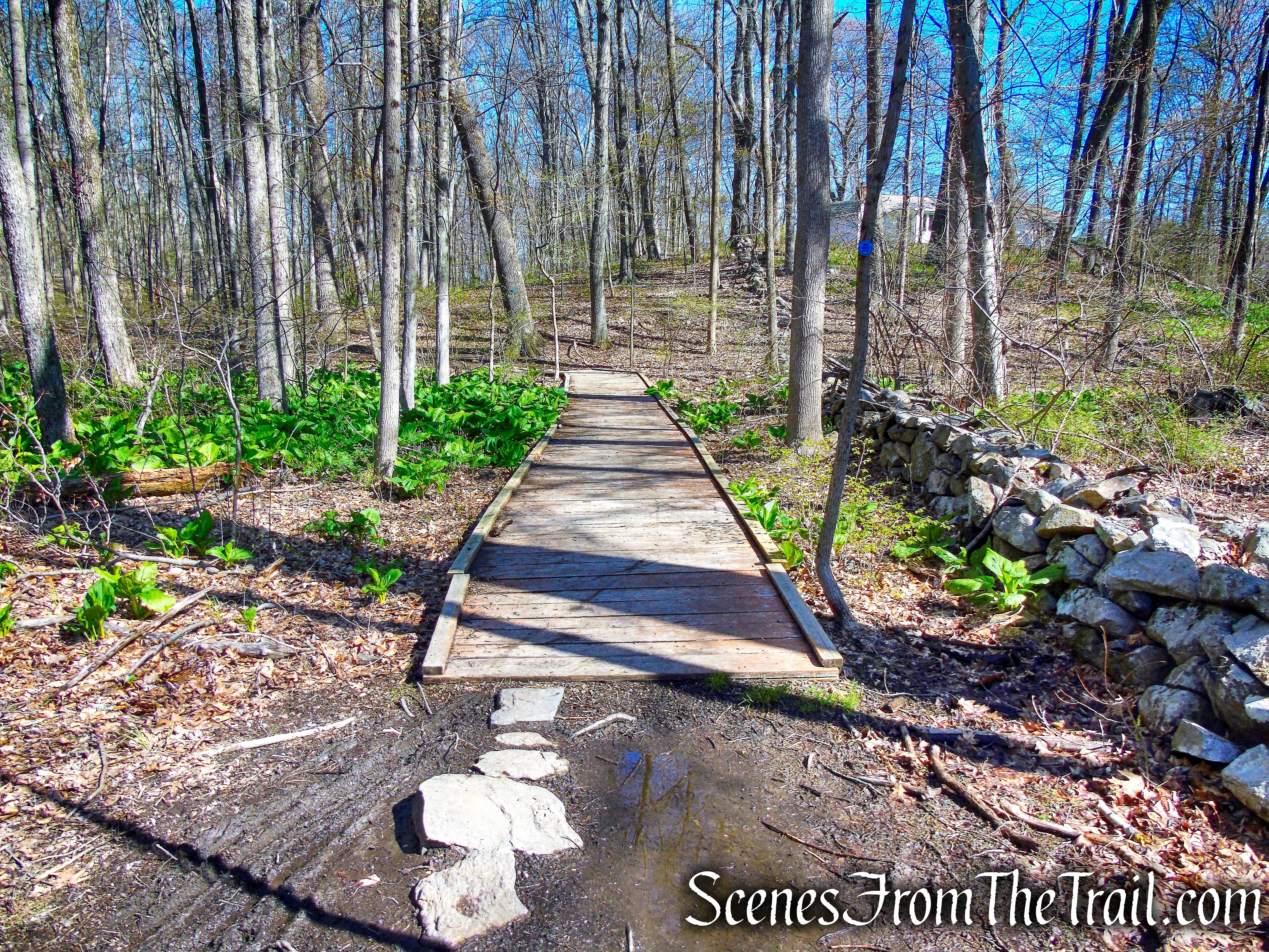 Crom Pond Trail - FDR State Park