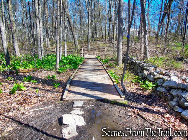 Crom Pond Trail - FDR State Park
