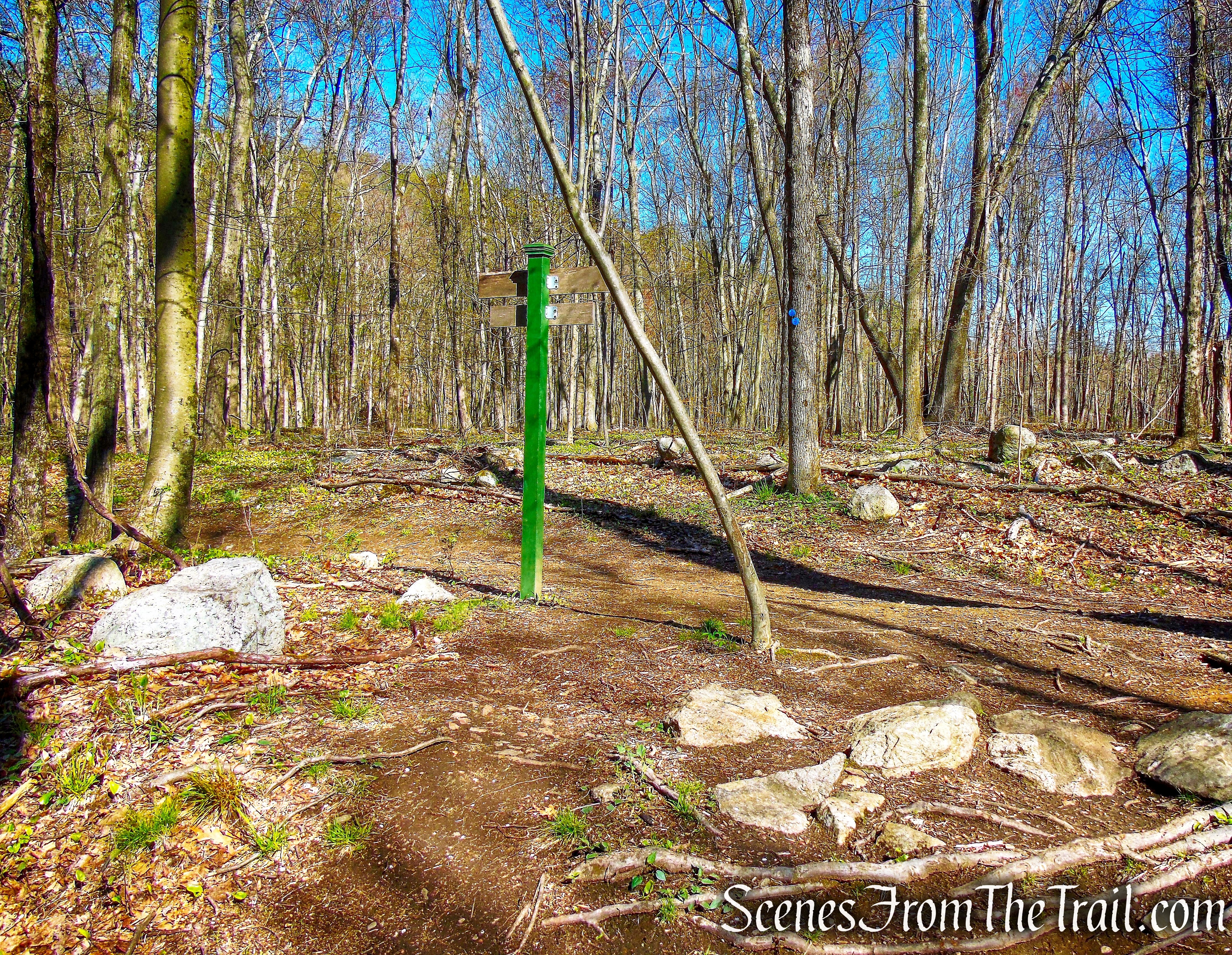 Crom Pond Trail - FDR State Park
