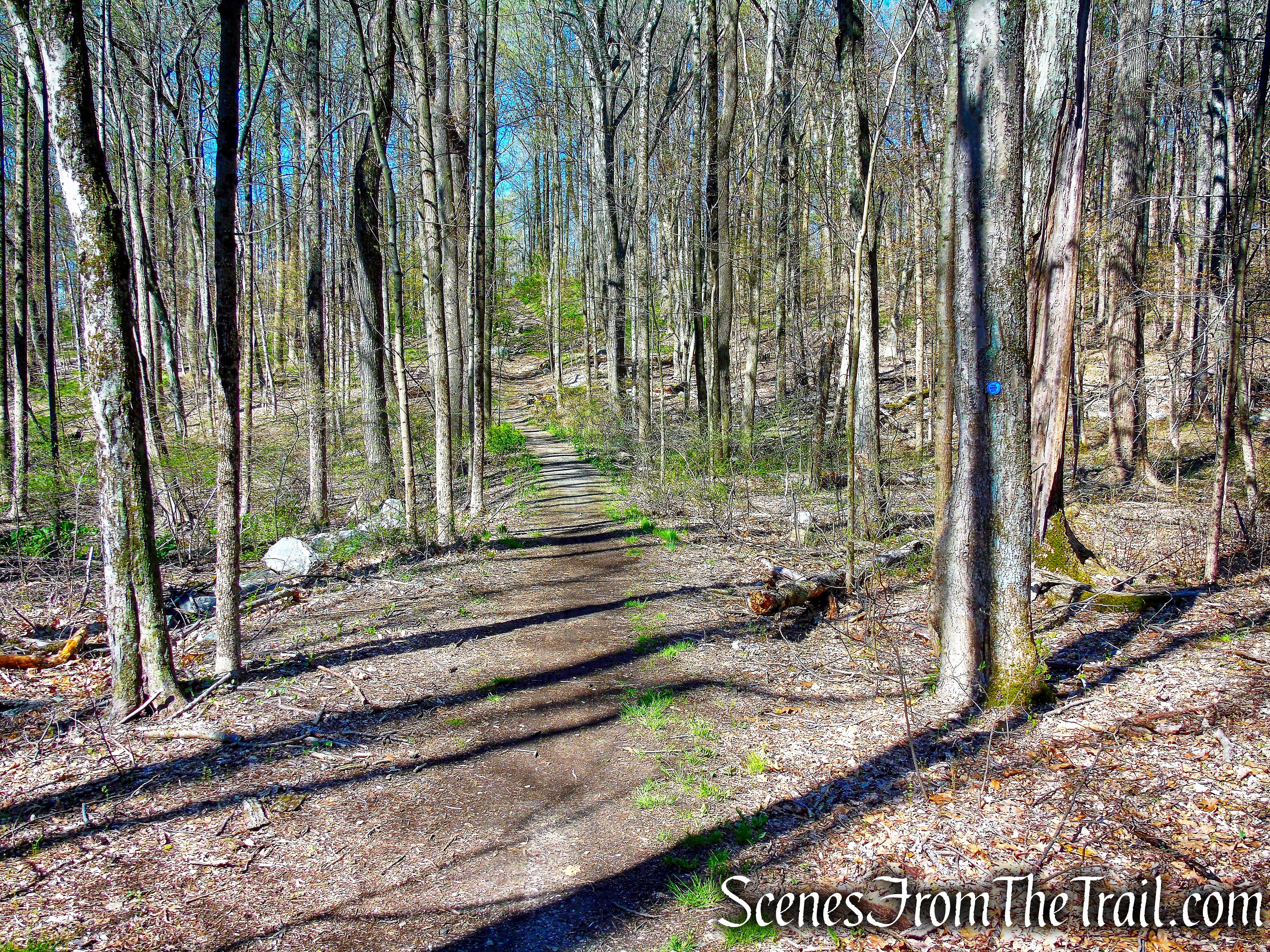 Crom Pond Trail - FDR State Park