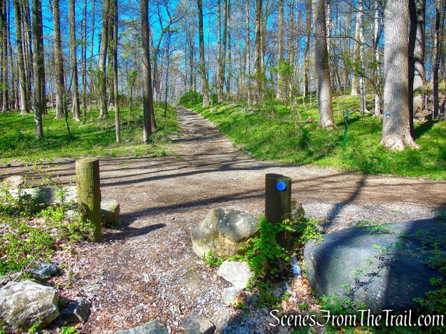 turn right on Forested Loop Trail