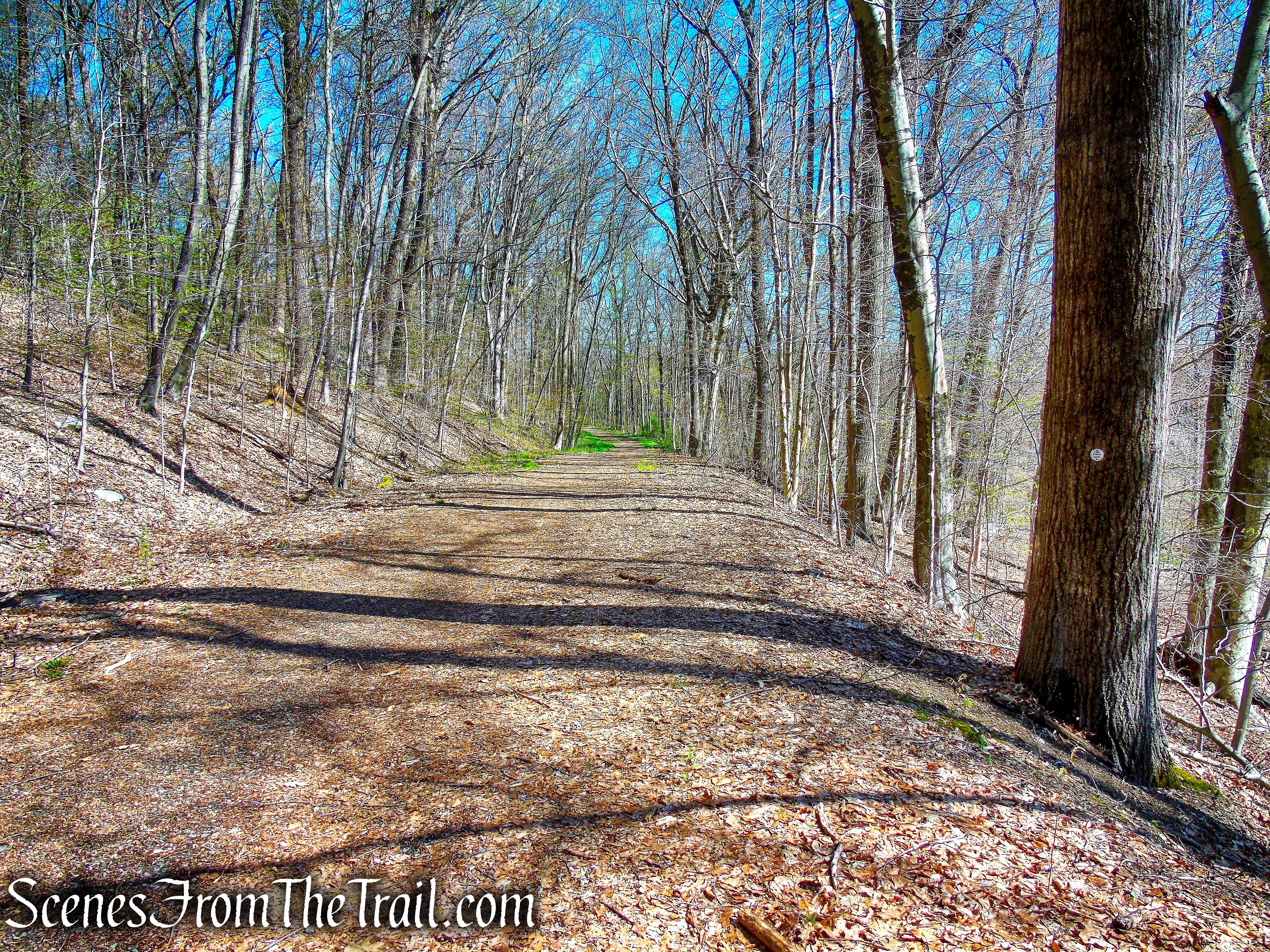 Forested Loop Trail - FDR State Park