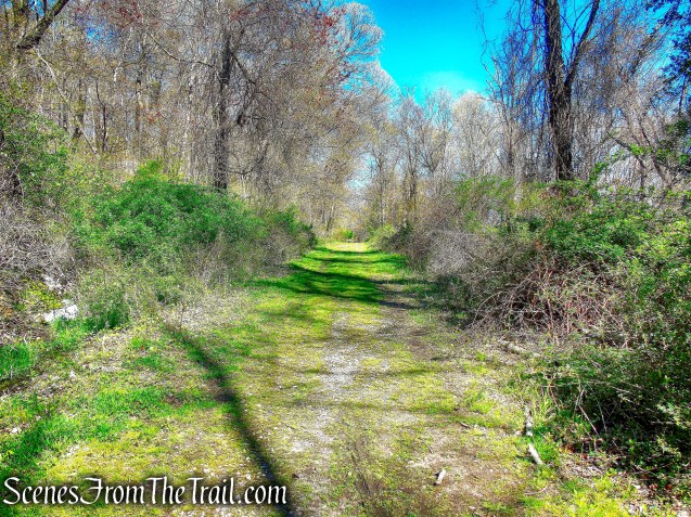 Forested Loop Trail - FDR State Park