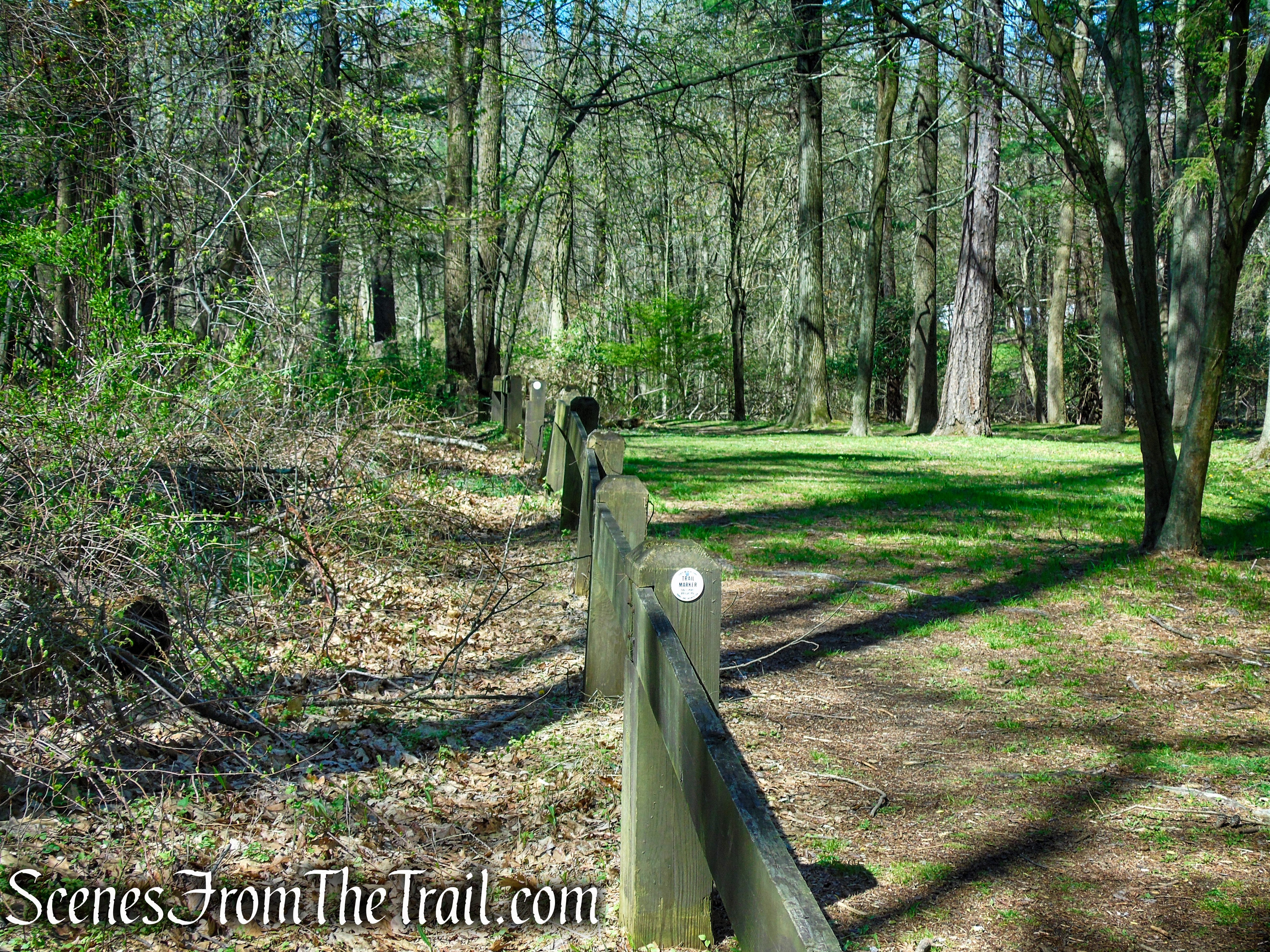 Forested Loop Trail - FDR State Park