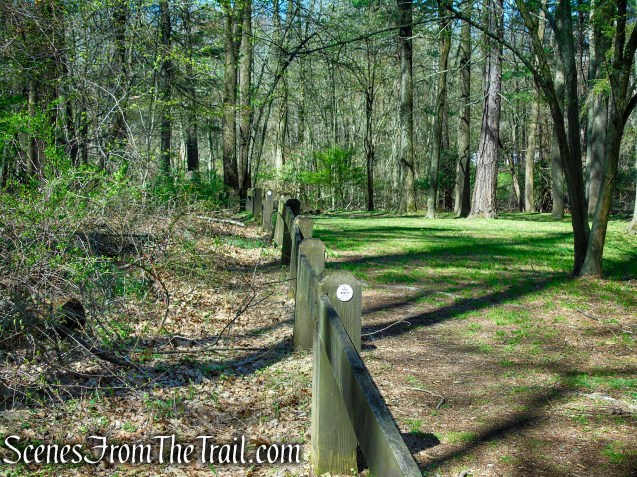 Forested Loop Trail - FDR State Park