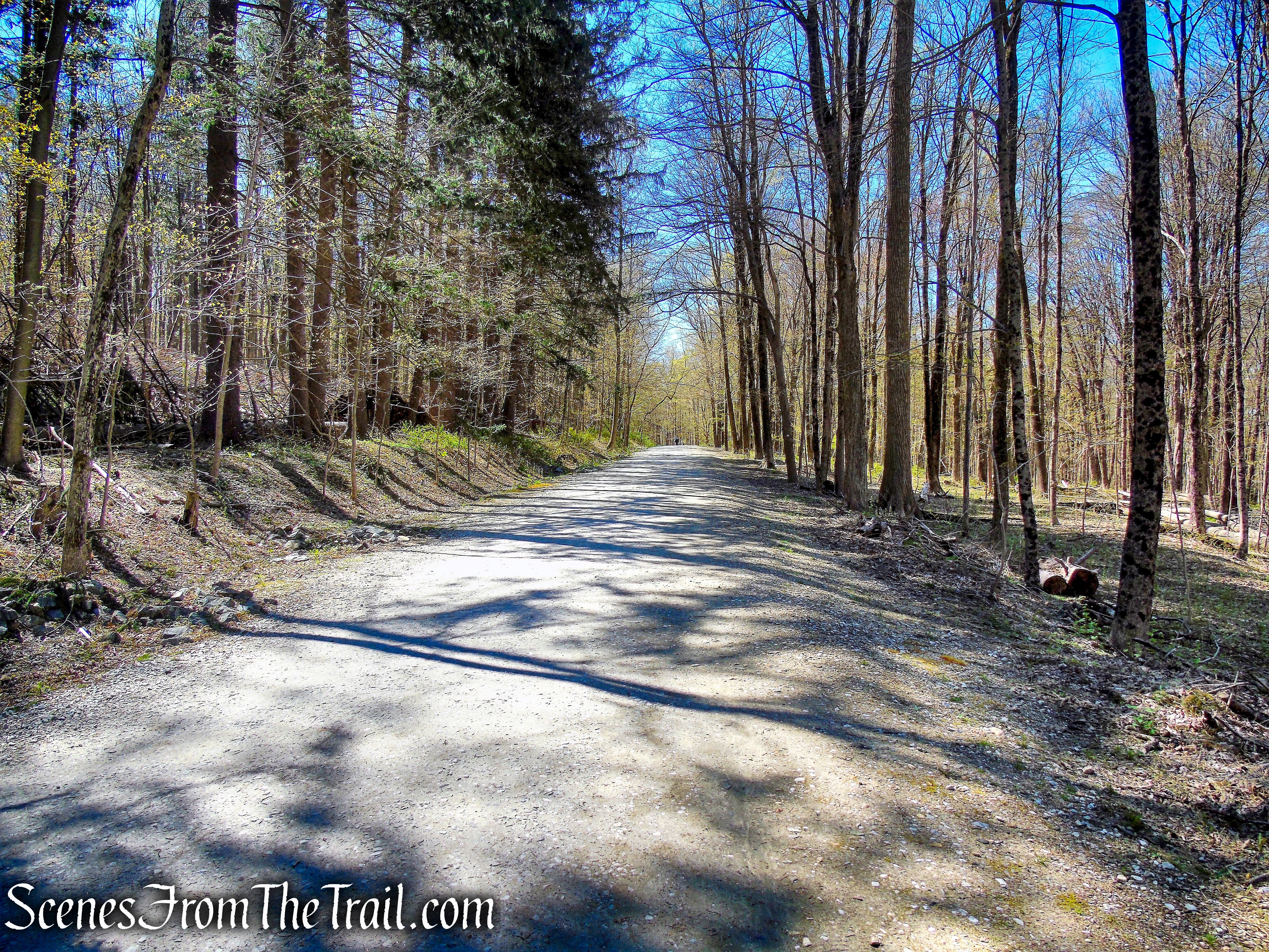 Forested Loop Trail - FDR State Park