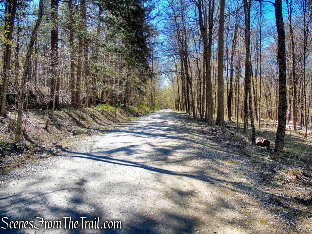Forested Loop Trail - FDR State Park