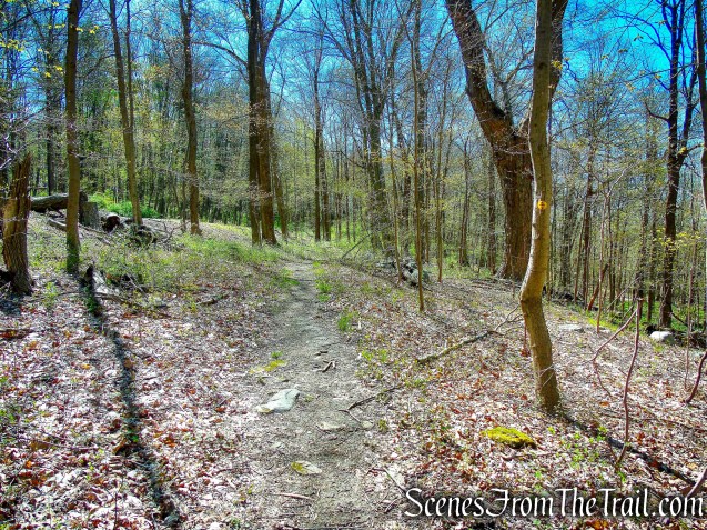 Mid Park Loop Trail - FDR State Park