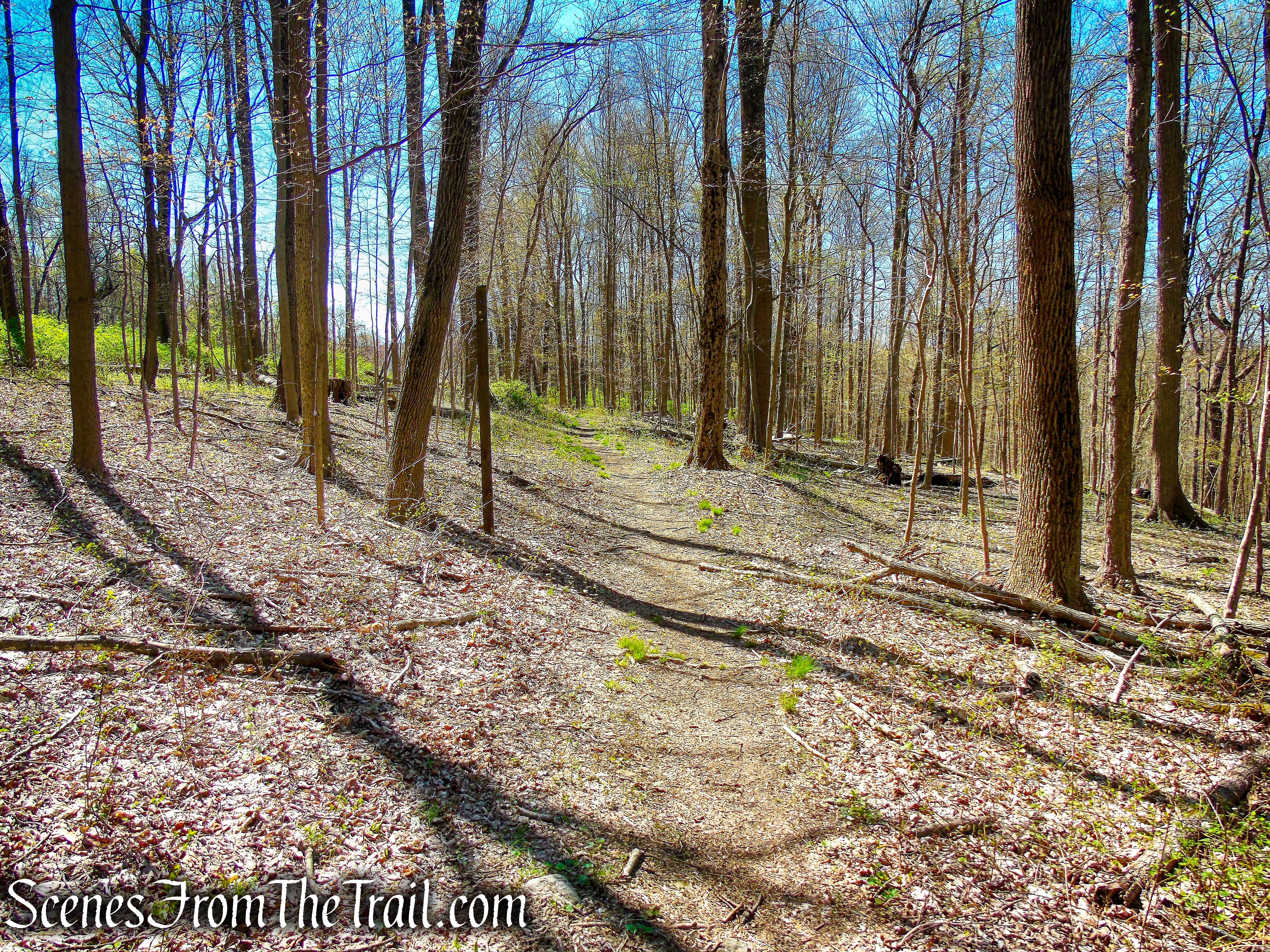 Mid Park Loop Trail - FDR State Park