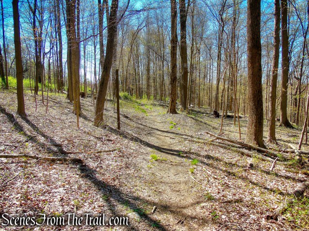 Mid Park Loop Trail - FDR State Park