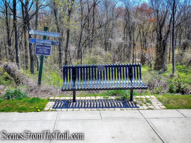 Forested Loop Trail - FDR State Park