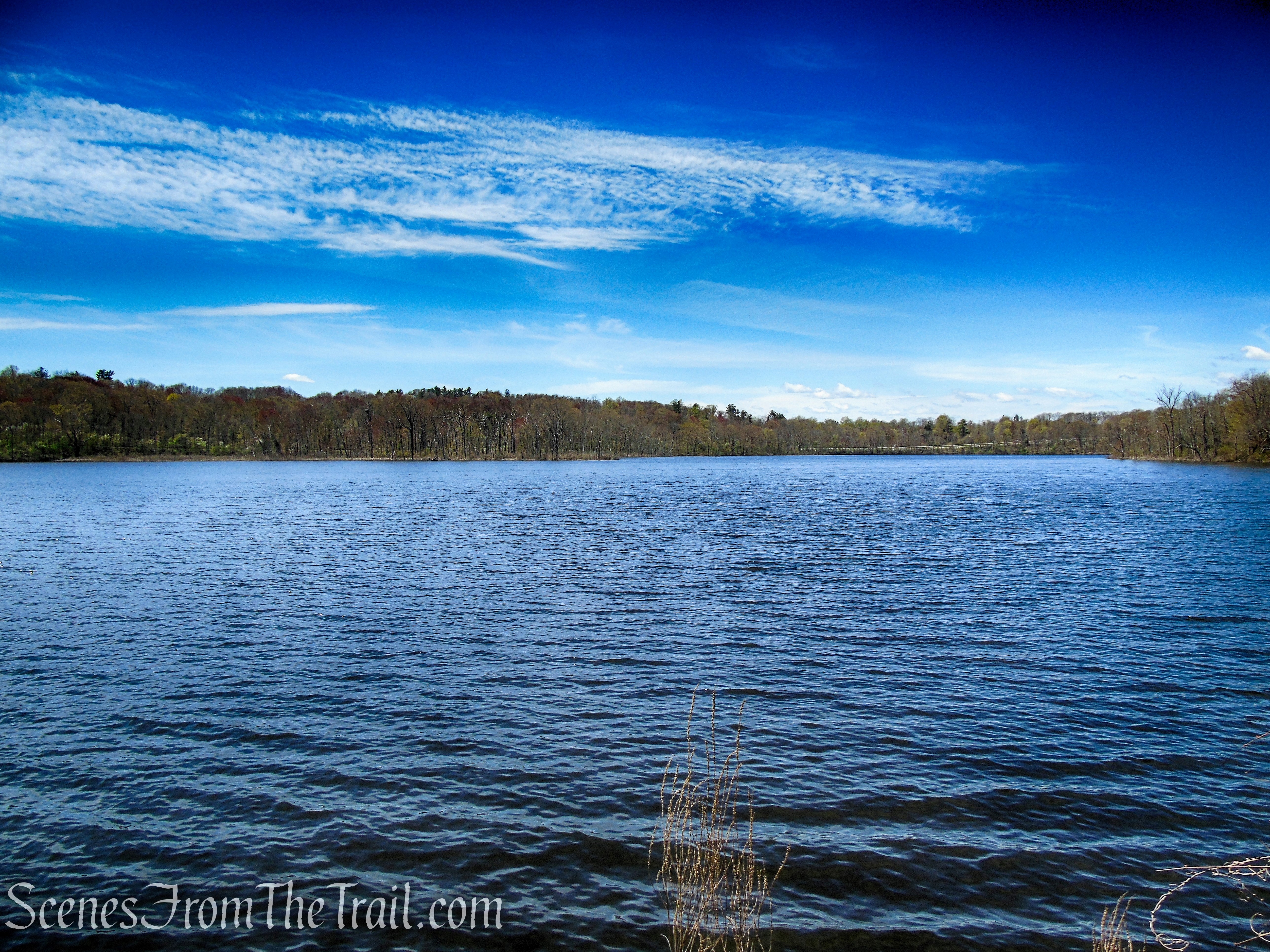 Mohansic Lake - FDR State Park