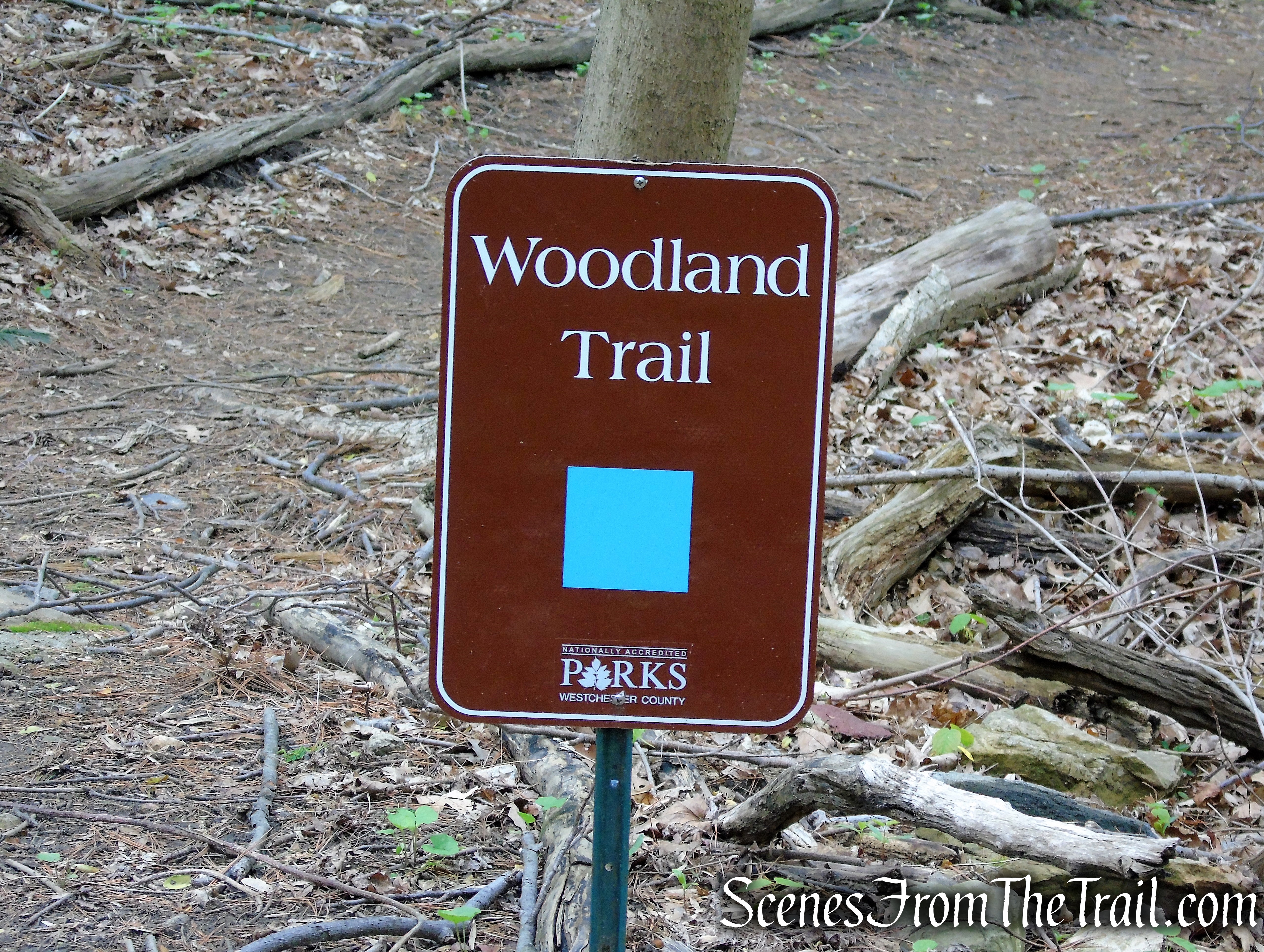 Blue Trail - Lenoir Preserve