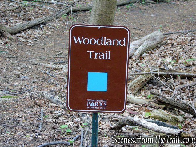 Blue Trail - Lenoir Preserve