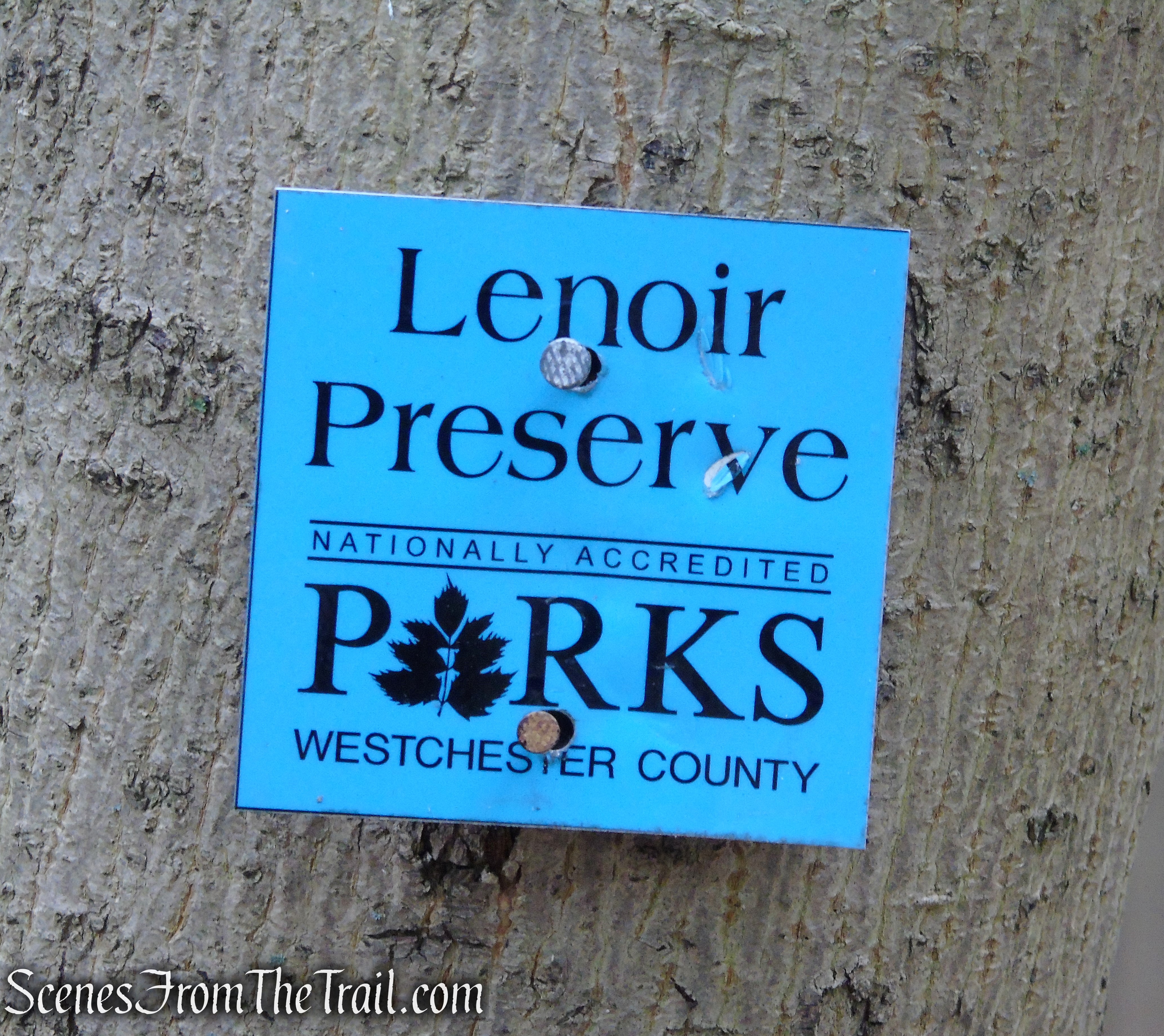 Blue Trail - Lenoir Preserve